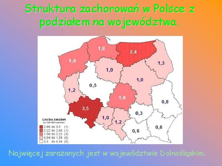 Struktura zachorowań w Polsce z podziałem na województwa. Najwięcej zarażonych jest w województwie Dolnośląskim.