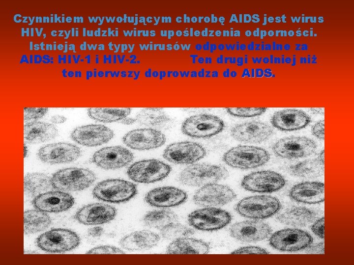 Czynnikiem wywołującym chorobę AIDS jest wirus HIV, czyli ludzki wirus upośledzenia odporności. Istnieją dwa