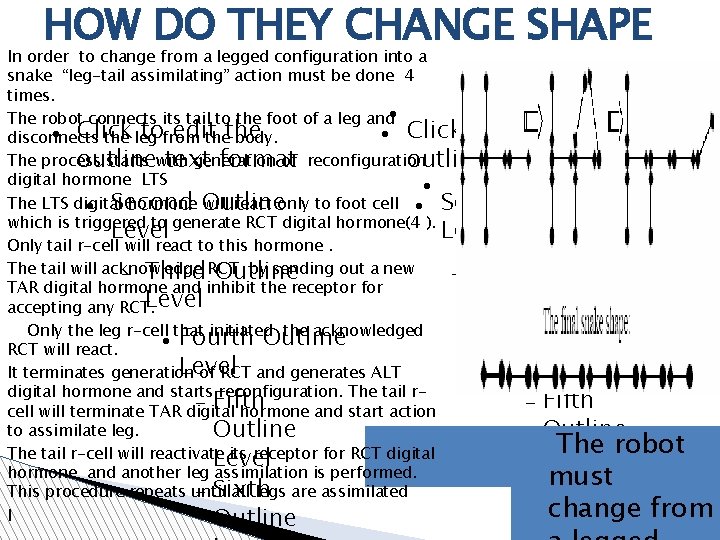 HOW DO THEY CHANGE SHAPE In order to change from a legged configuration into HOW DO THEY CHANGE SHAPE In order to change from a legged configuration into