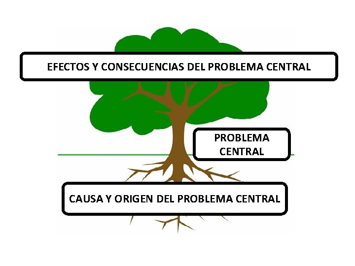 EFECTOS Y CONSECUENCIAS DEL PROBLEMA CENTRAL CAUSA Y ORIGEN DEL PROBLEMA CENTRAL 