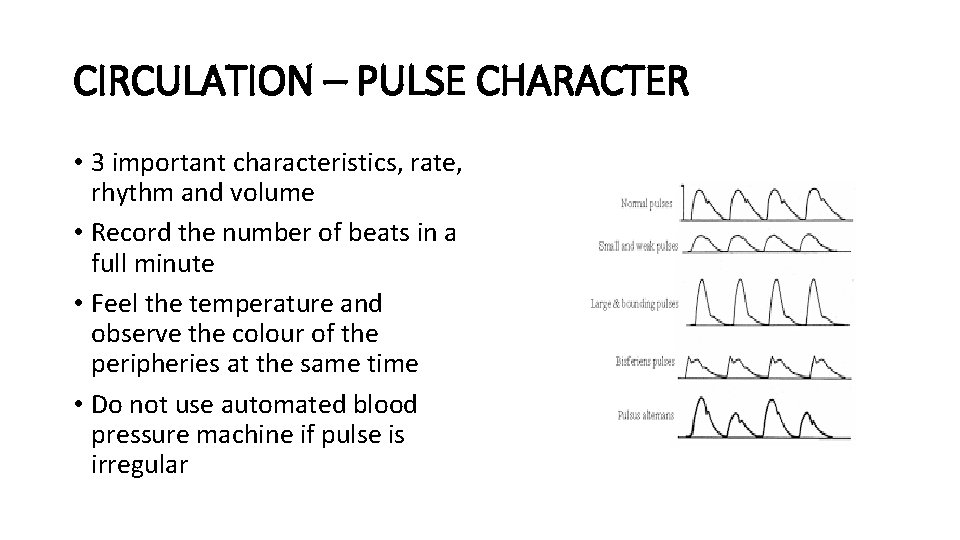 CIRCULATION – PULSE CHARACTER • 3 important characteristics, rate, rhythm and volume • Record