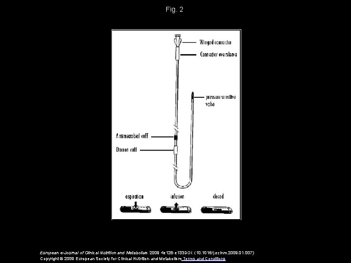Fig. 2 European e-Journal of Clinical Nutrition and Metabolism 2009 4 e 128 -e