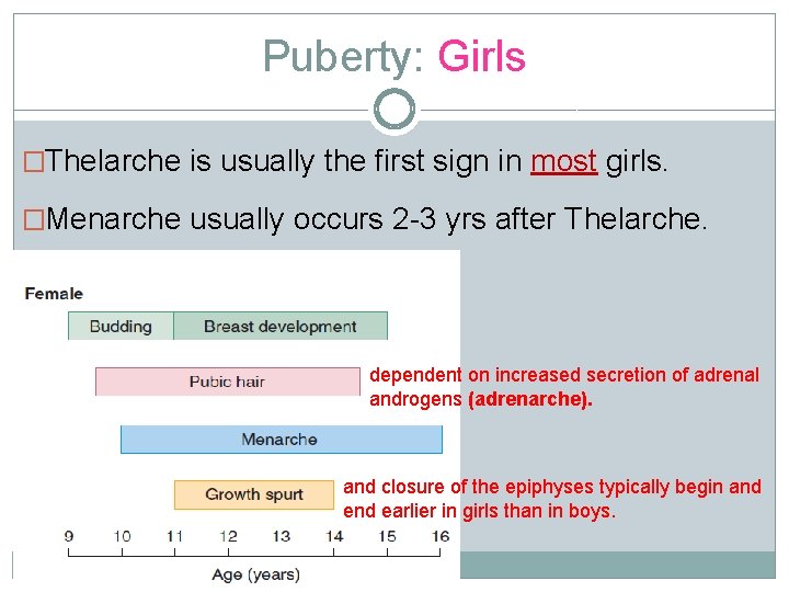 Puberty: Girls �Thelarche is usually the first sign in most girls. �Menarche usually occurs