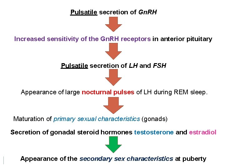 Pulsatile secretion of Gn. RH Increased sensitivity of the Gn. RH receptors in anterior