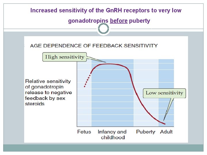 Increased sensitivity of the Gn. RH receptors to very low gonadotropins before puberty 