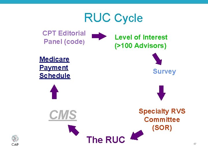 RUC Cycle CPT Editorial Panel (code) Level of Interest (>100 Advisors) Medicare Payment Schedule