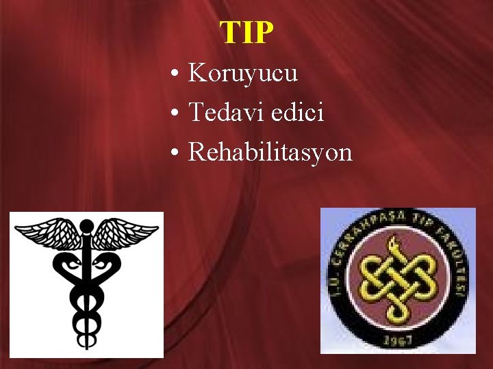 TIP • Koruyucu • Tedavi edici • Rehabilitasyon 