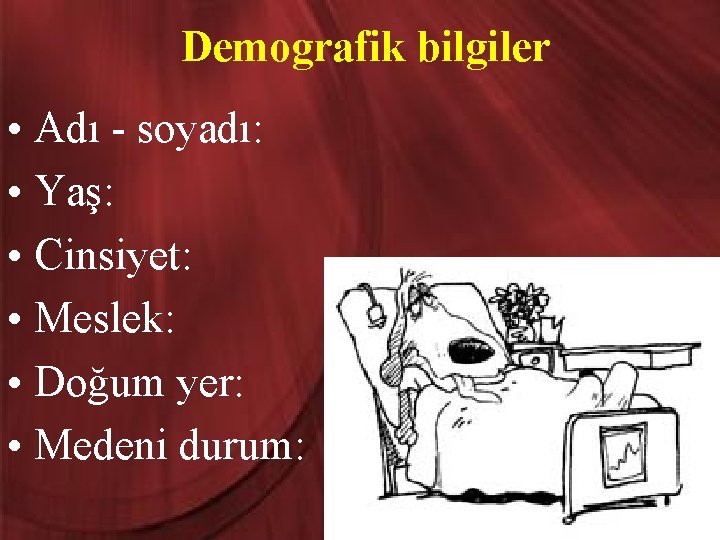 Demografik bilgiler • Adı - soyadı: • Yaş: • Cinsiyet: • Meslek: • Doğum