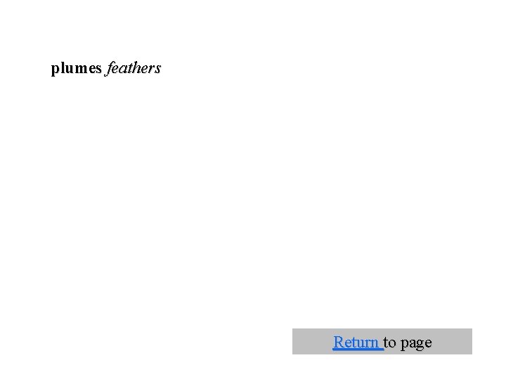 plumes feathers Return to page 
