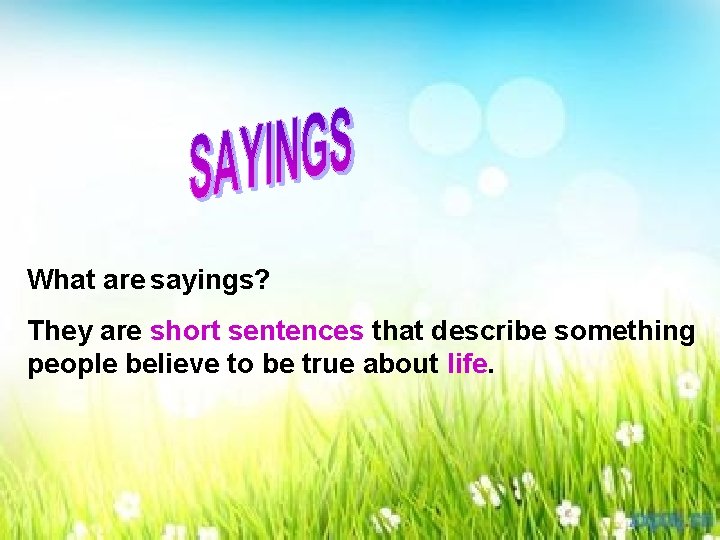 What are sayings? They are short sentences that describe something people believe to be