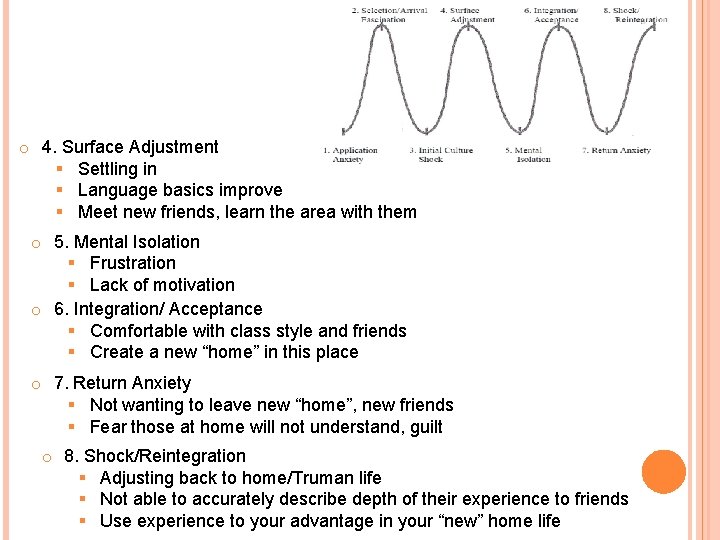 o 4. Surface Adjustment § Settling in § Language basics improve § Meet new