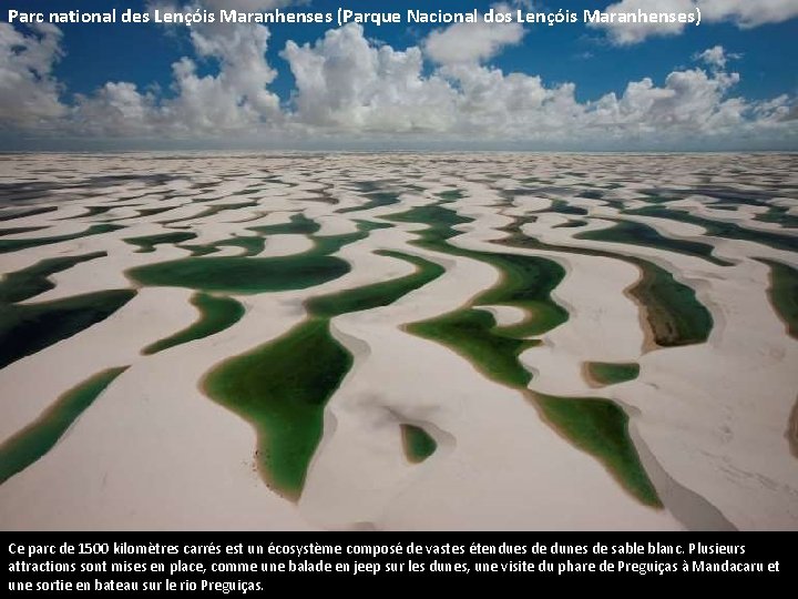 Parc national des Lençóis Maranhenses (Parque Nacional dos Lençóis Maranhenses) Ce parc de 1500