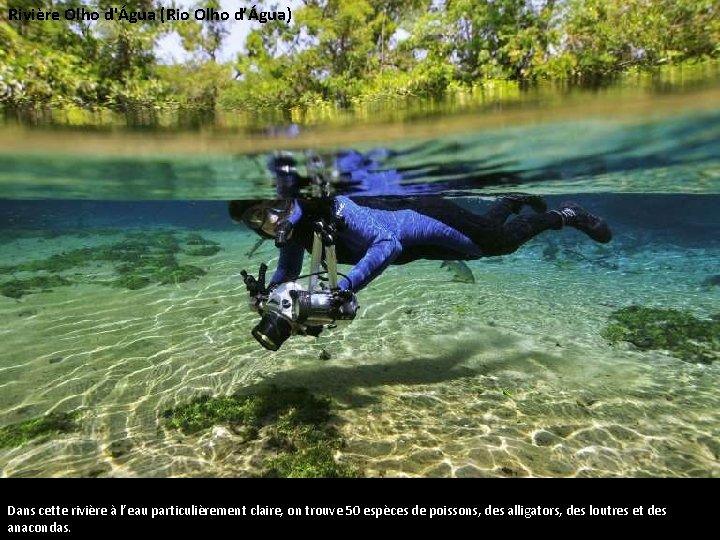 Rivière Olho d'Água (Rio Olho d’Água) Dans cette rivière à l’eau particulièrement claire, on