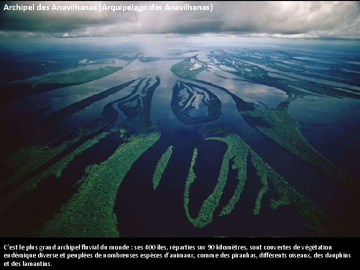 Archipel des Anavilhanas (Arquipélago das Anavilhanas) C’est le plus grand archipel fluvial du monde