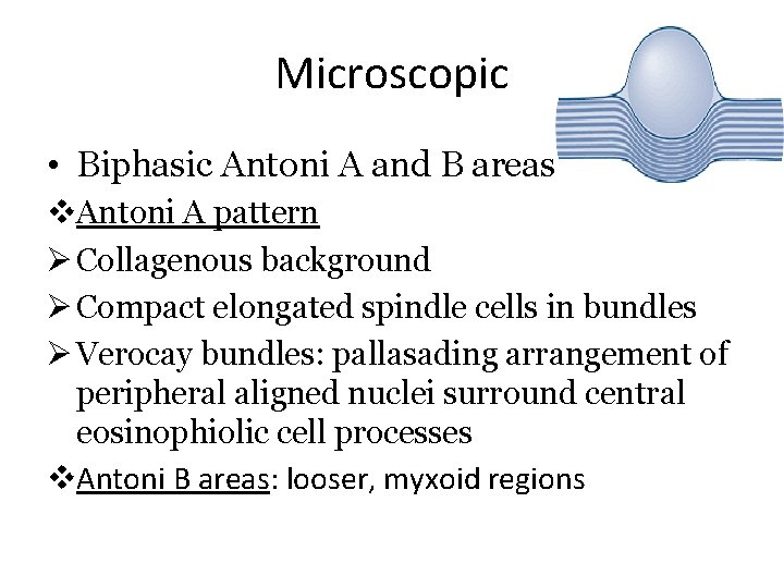 Microscopic • Biphasic Antoni A and B areas v. Antoni A pattern Ø Collagenous