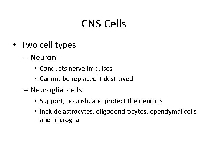 CNS Cells • Two cell types – Neuron • Conducts nerve impulses • Cannot