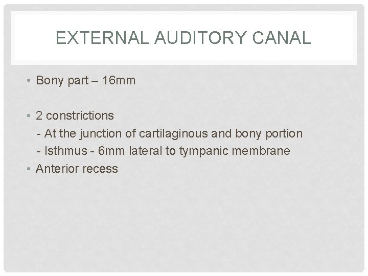 EXTERNAL AUDITORY CANAL • Bony part – 16 mm • 2 constrictions - At