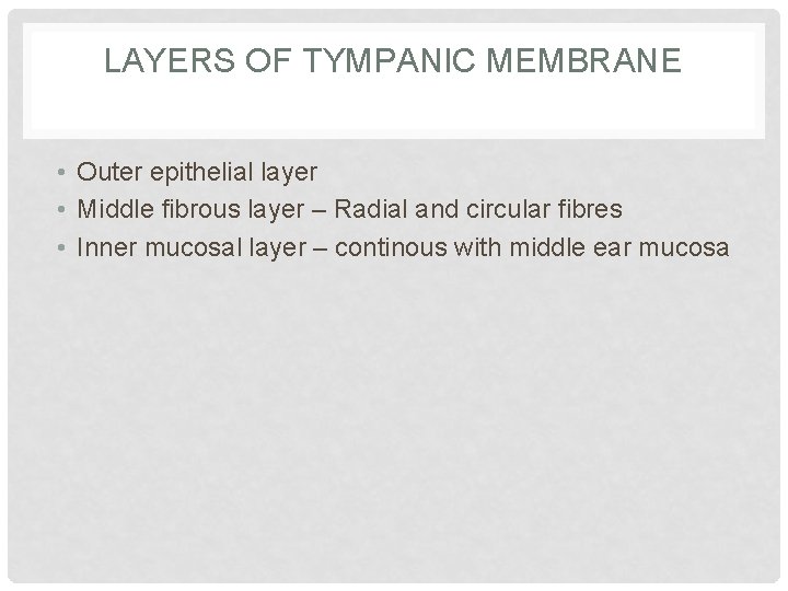 LAYERS OF TYMPANIC MEMBRANE • Outer epithelial layer • Middle fibrous layer – Radial