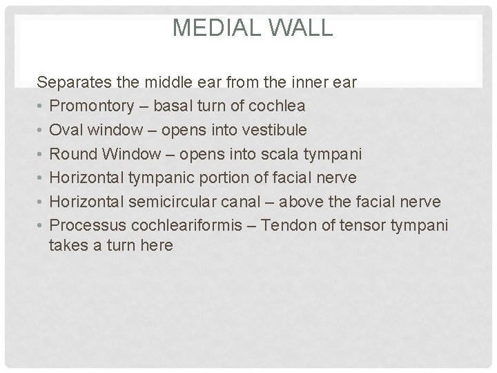MEDIAL WALL Separates the middle ear from the inner ear • Promontory – basal