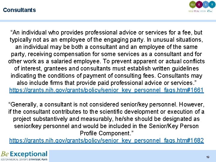 Consultants “An individual who provides professional advice or services for a fee, but typically