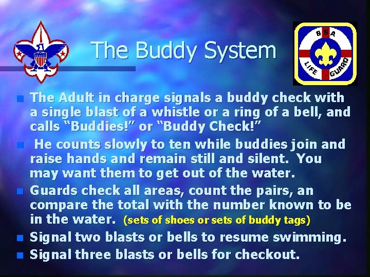 The Buddy System n n n The Adult in charge signals a buddy check
