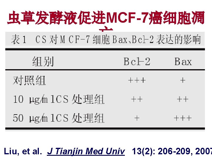 虫草发酵液促进MCF-7癌细胞凋 亡 Liu, et al. J Tianjin Med Univ 13(2): 206 -209, 2007 