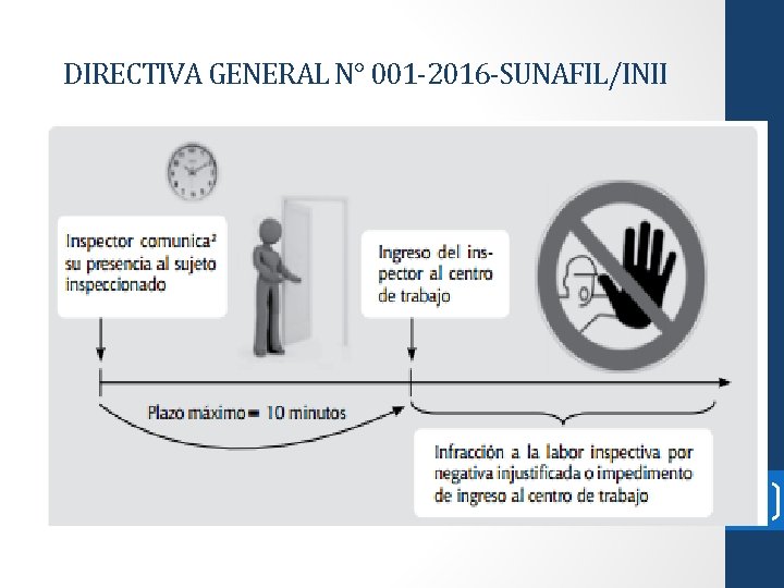 DIRECTIVA GENERAL N° 001 -2016 -SUNAFIL/INII 15 