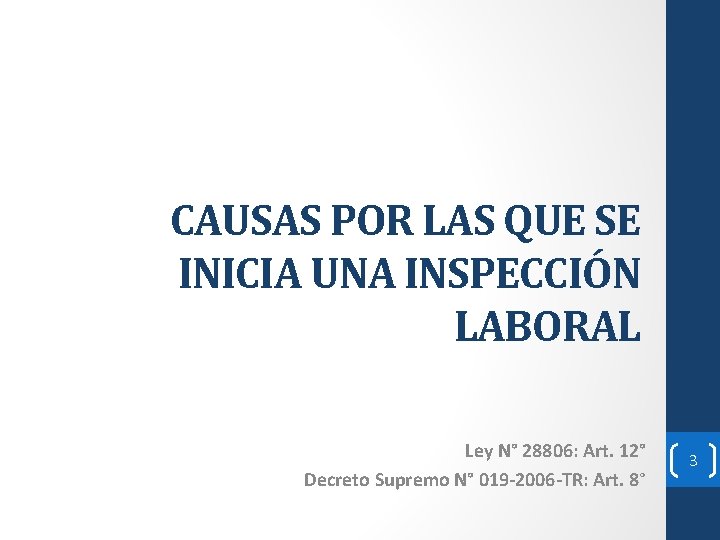 CAUSAS POR LAS QUE SE INICIA UNA INSPECCIÓN LABORAL Ley N° 28806: Art. 12°