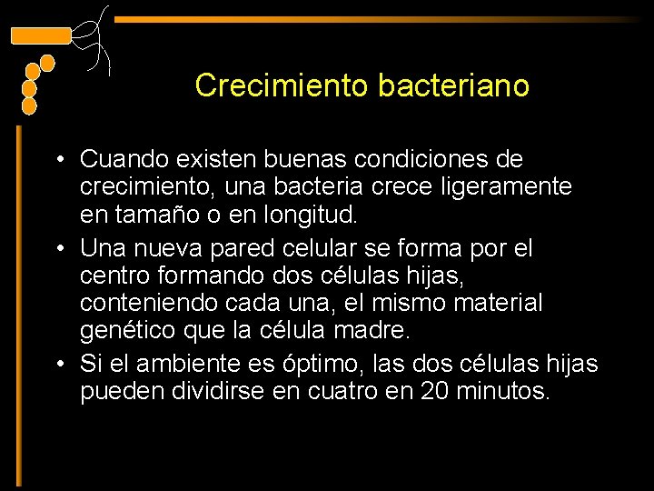 Crecimiento bacteriano • Cuando existen buenas condiciones de crecimiento, una bacteria crece ligeramente en
