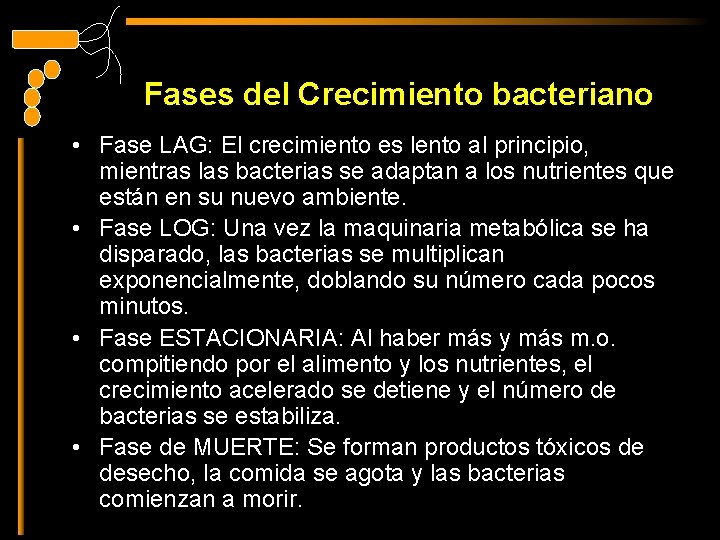 Fases del Crecimiento bacteriano • Fase LAG: El crecimiento es lento al principio, mientras