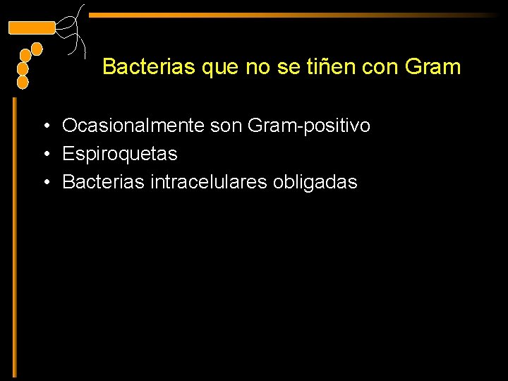 Bacterias que no se tiñen con Gram • Ocasionalmente son Gram-positivo • Espiroquetas •