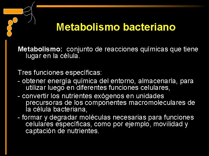 Metabolismo bacteriano Metabolismo: conjunto de reacciones químicas que tiene lugar en la célula. Tres