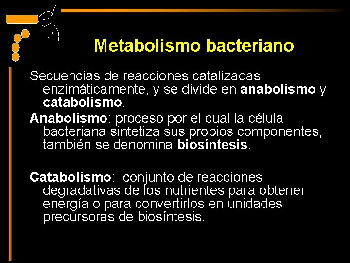 Metabolismo bacteriano Secuencias de reacciones catalizadas enzimáticamente, y se divide en anabolismo y catabolismo.