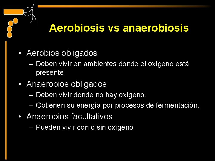 Aerobiosis vs anaerobiosis • Aerobios obligados – Deben vivir en ambientes donde el oxígeno