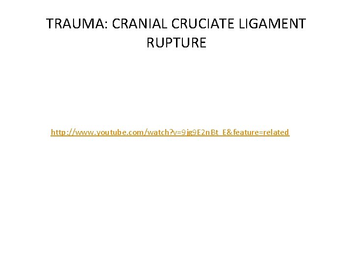 TRAUMA: CRANIAL CRUCIATE LIGAMENT RUPTURE http: //www. youtube. com/watch? v=9 jg 9 E 2