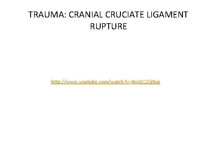 TRAUMA: CRANIAL CRUCIATE LIGAMENT RUPTURE http: //www. youtube. com/watch? v=4 n. U 2 QZjj.