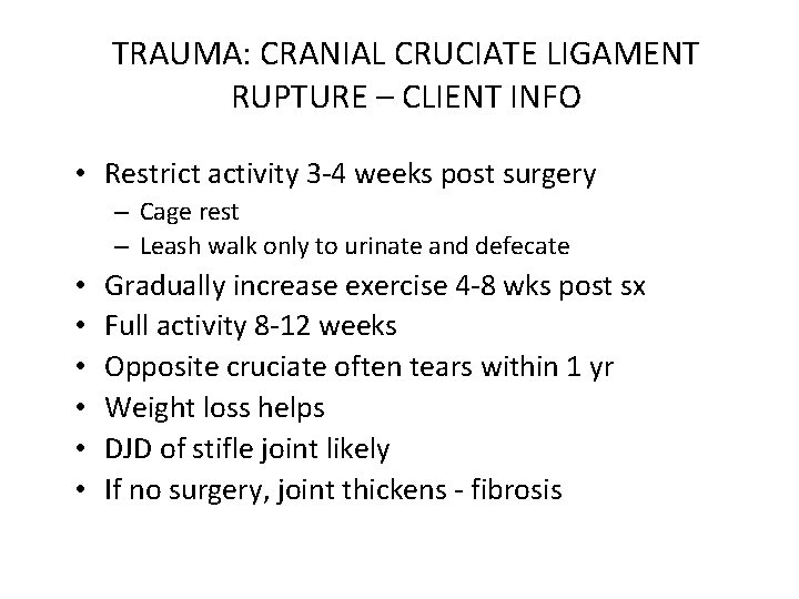 TRAUMA: CRANIAL CRUCIATE LIGAMENT RUPTURE – CLIENT INFO • Restrict activity 3 -4 weeks