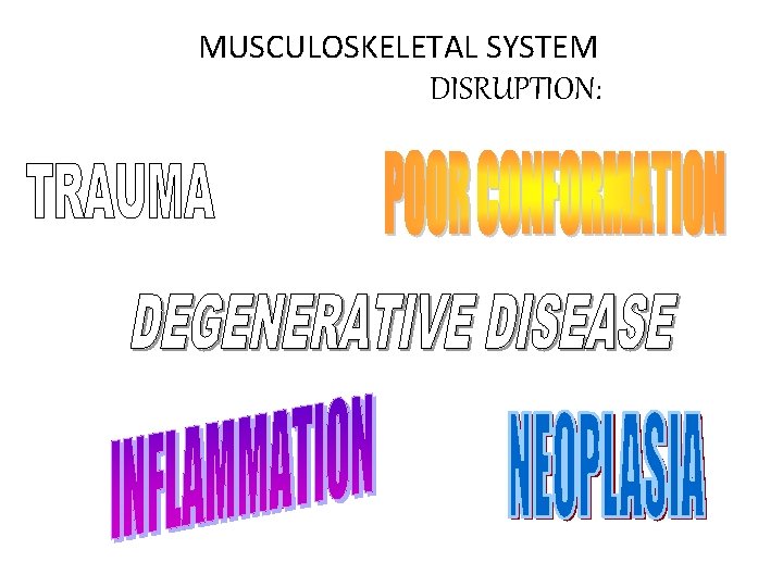 MUSCULOSKELETAL SYSTEM DISRUPTION: 