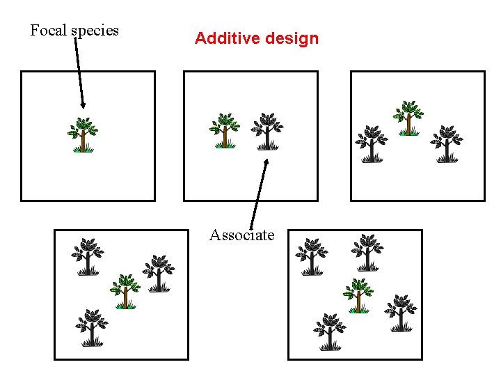 Focal species Additive design Associate 