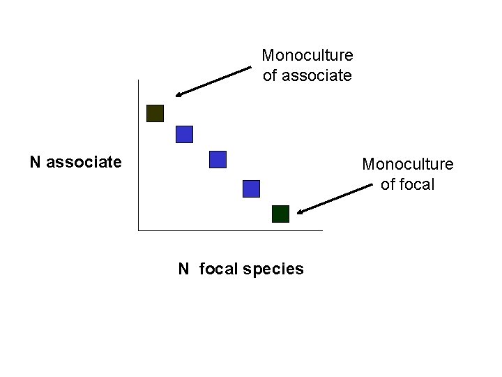 Monoculture of associate N associate Monoculture of focal N focal species 