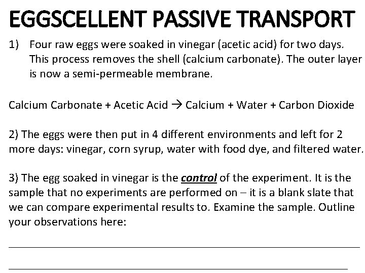 EGGSCELLENT PASSIVE TRANSPORT 1) Four raw eggs were soaked in vinegar (acetic acid) for