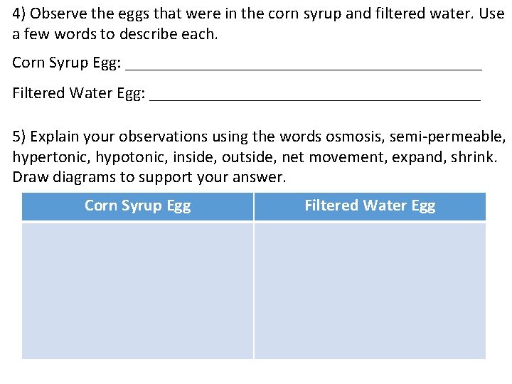 4) Observe the eggs that were in the corn syrup and filtered water. Use