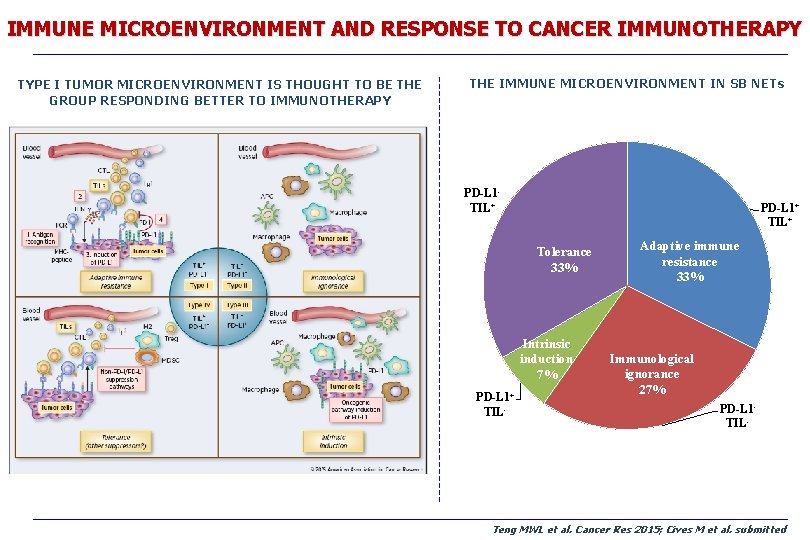 IMMUNE MICROENVIRONMENT AND RESPONSE TO CANCER IMMUNOTHERAPY TYPE I TUMOR MICROENVIRONMENT IS THOUGHT TO