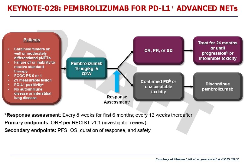 KEYNOTE-028: PEMBROLIZUMAB FOR PD-L 1+ ADVANCED NETs Courtesy of Mehnert JM et al, presented