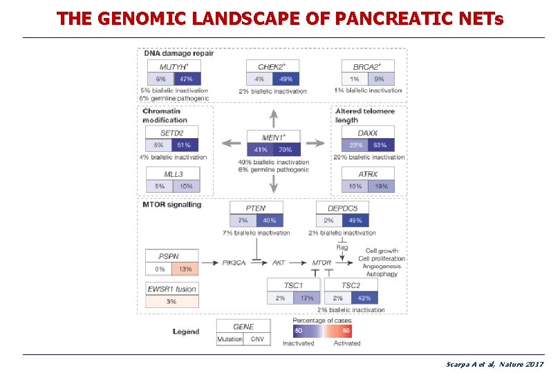 THE GENOMIC LANDSCAPE OF PANCREATIC NETs Scarpa A et al, Nature 2017 