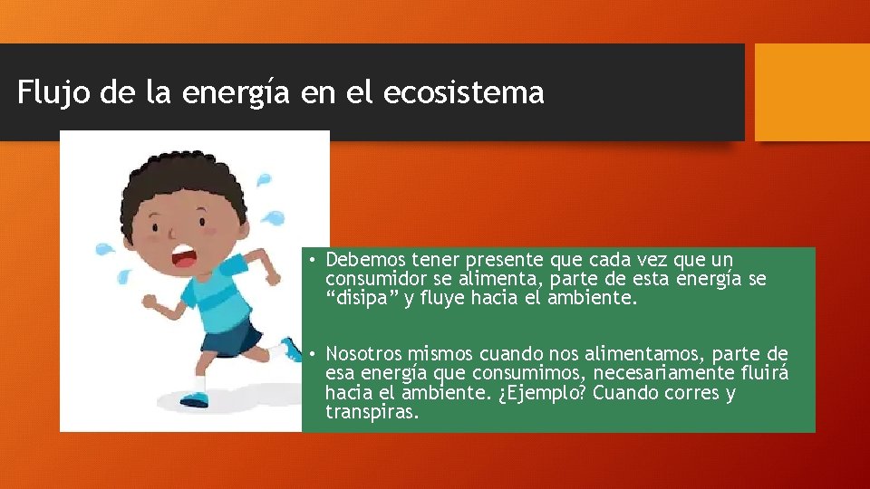 Flujo de la energía en el ecosistema • Debemos tener presente que cada vez