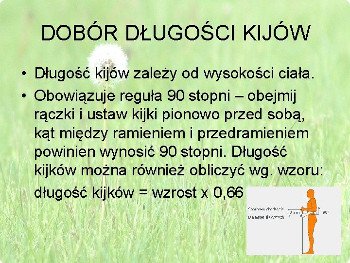 DOBÓR DŁUGOŚCI KIJÓW • Długość kijów zależy od wysokości ciała. • Obowiązuje reguła 90