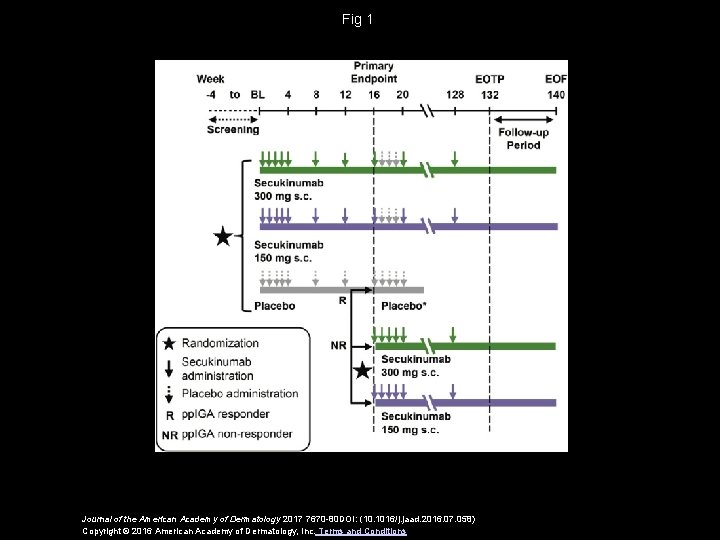 Fig 1 Journal of the American Academy of Dermatology 2017 7670 -80 DOI: (10.