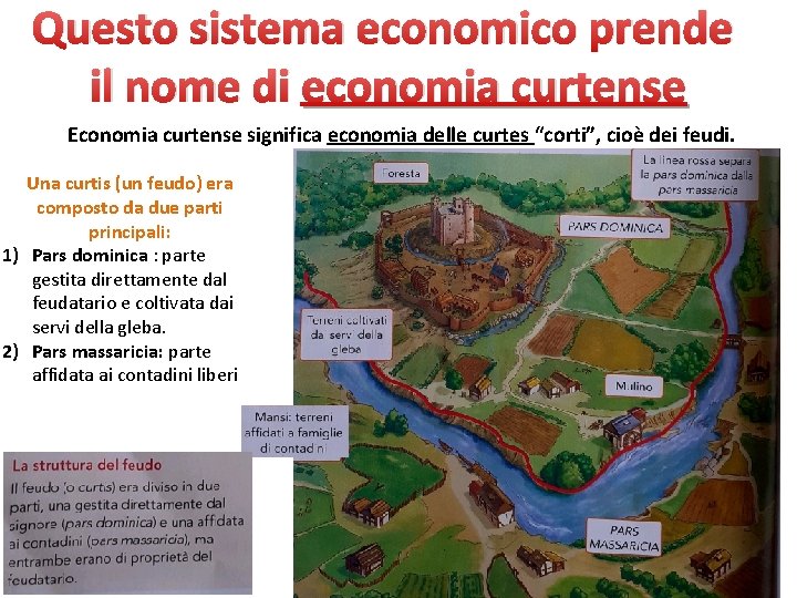 Questo sistema economico prende il nome di economia curtense Economia curtense significa economia delle