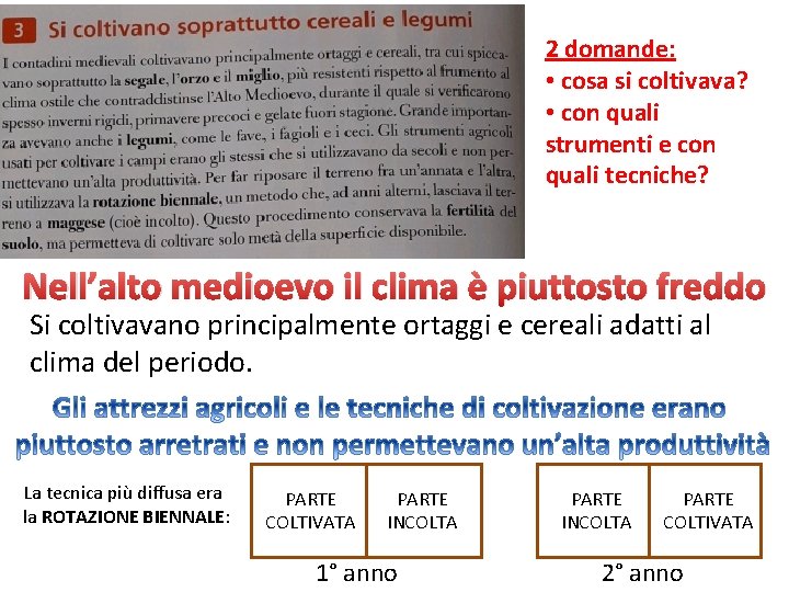 2 domande: • cosa si coltivava? • con quali strumenti e con quali tecniche?